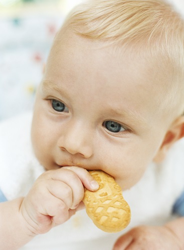 baby eating biscuit