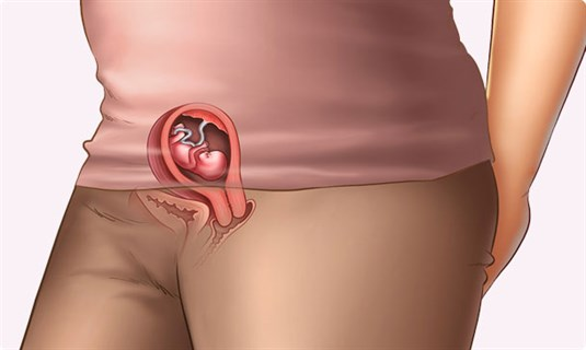 Understanding your pregnancy Week 10