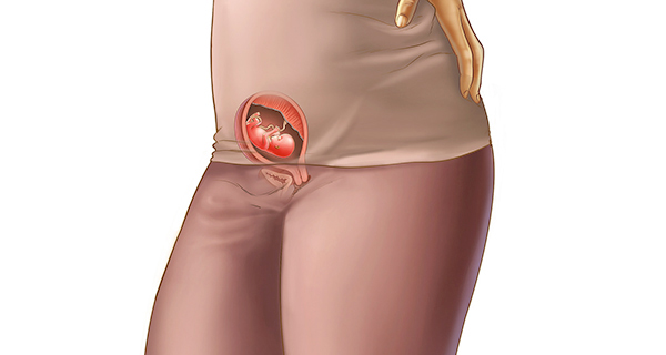 Understanding your pregnancy Week 13