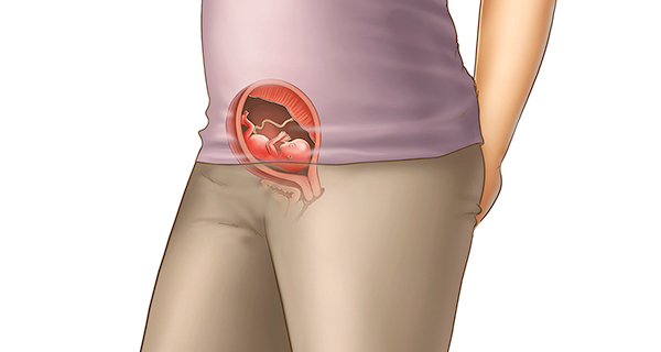 Understanding your pregnancy Week 14