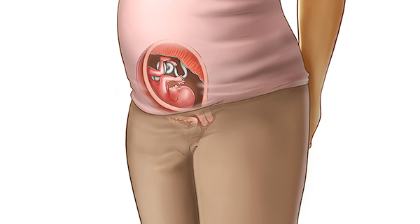 Understanding your pregnancy Week 16