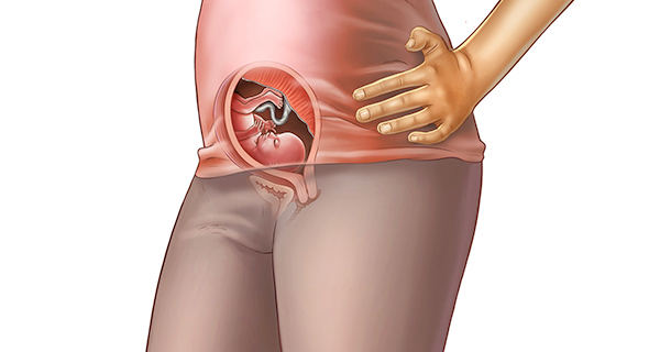 Understanding your pregnancy Week 18