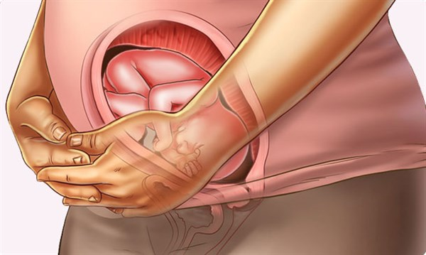 Understanding your pregnancy Week 22