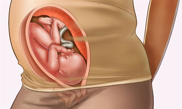Understanding your pregnancy Week 30