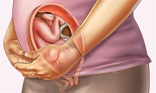 Understanding your pregnancy Week 31