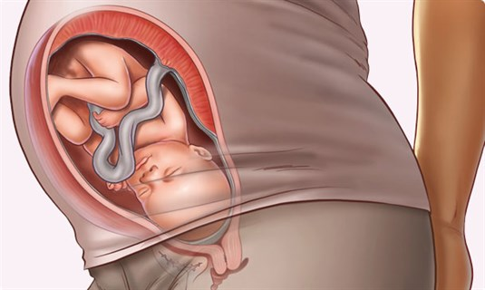 Understanding your pregnancy Week 34