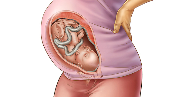 Understanding your pregnancy Week 35