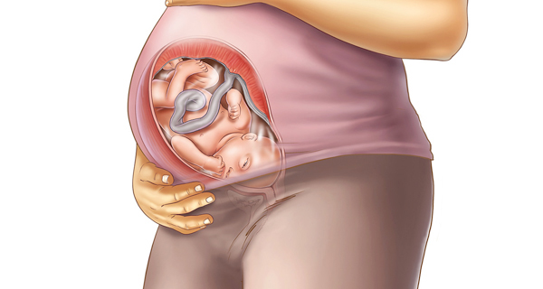 Understanding your pregnancy Week 39