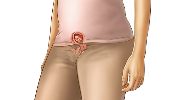 Understanding your pregnancy Week 6