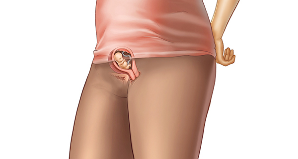Understanding your pregnancy Week 7