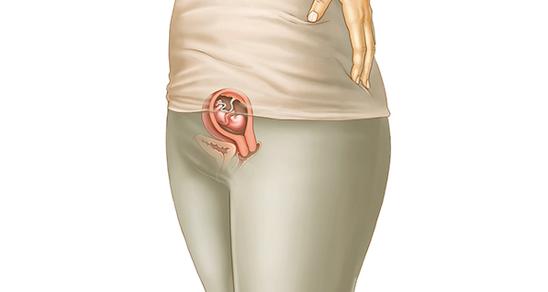 Understanding your pregnancy Week 9