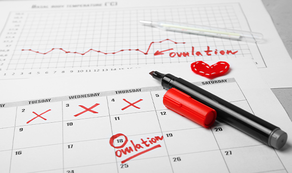 Ovulation_Desktop Section 575x342px