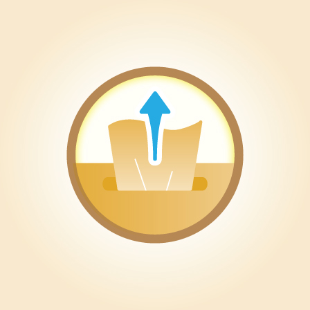 PDP_Product-Feature-Card_NC-Wipes_5_448-x-448px